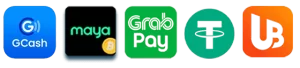 phdream11 website image 18 showing payment